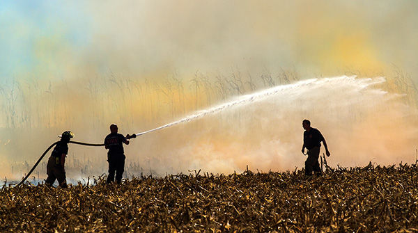 Cornfield fire